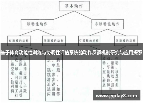 基于体育功能性训练与协调性评估系统的动作反馈机制研究与应用探索