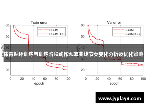 体育循环训练与训练阶段动作频率曲线节奏变化分析及优化策略